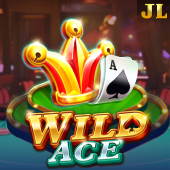 Wild Ace free play